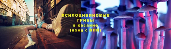 эйфоретик Богданович