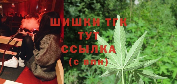 эйфоретик Богданович