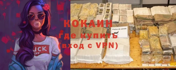 эйфоретик Богданович
